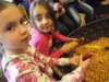 dscf1848_small.jpg