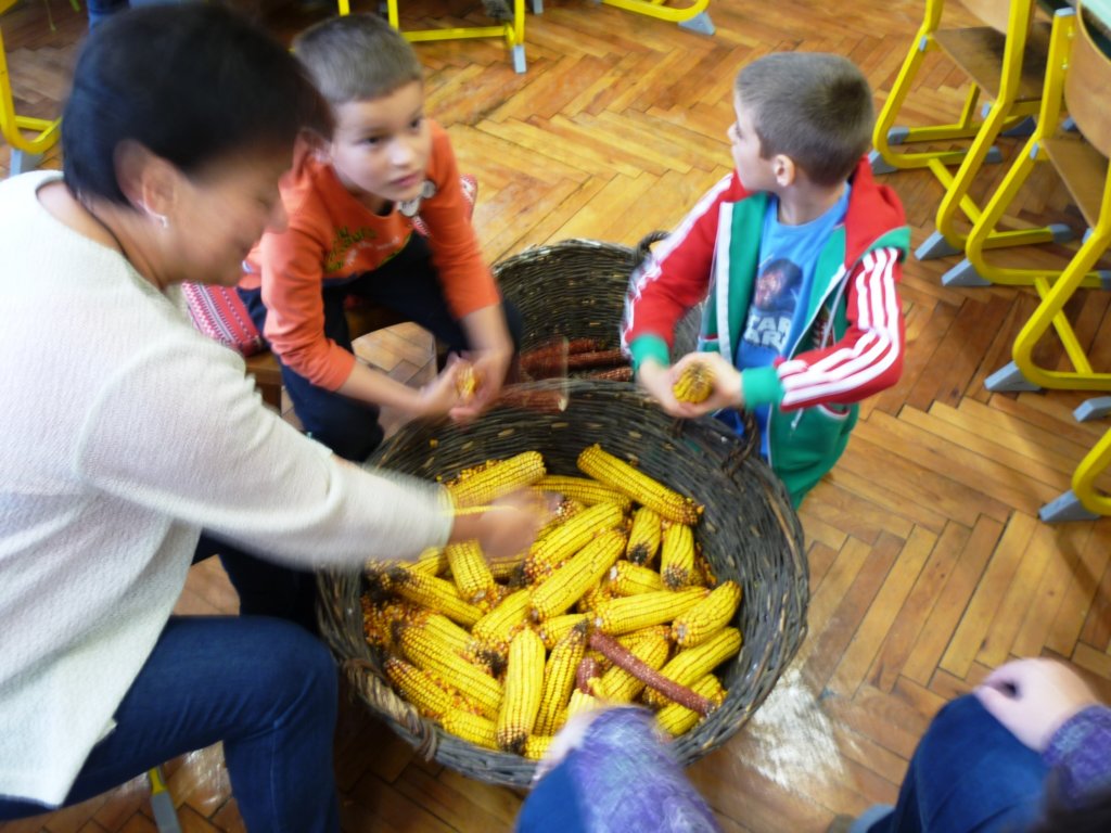 p1090850.jpg