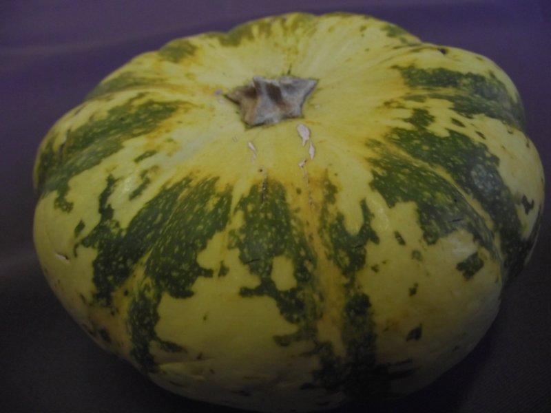 dscf1974.jpg