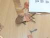 p1210756_small.jpg